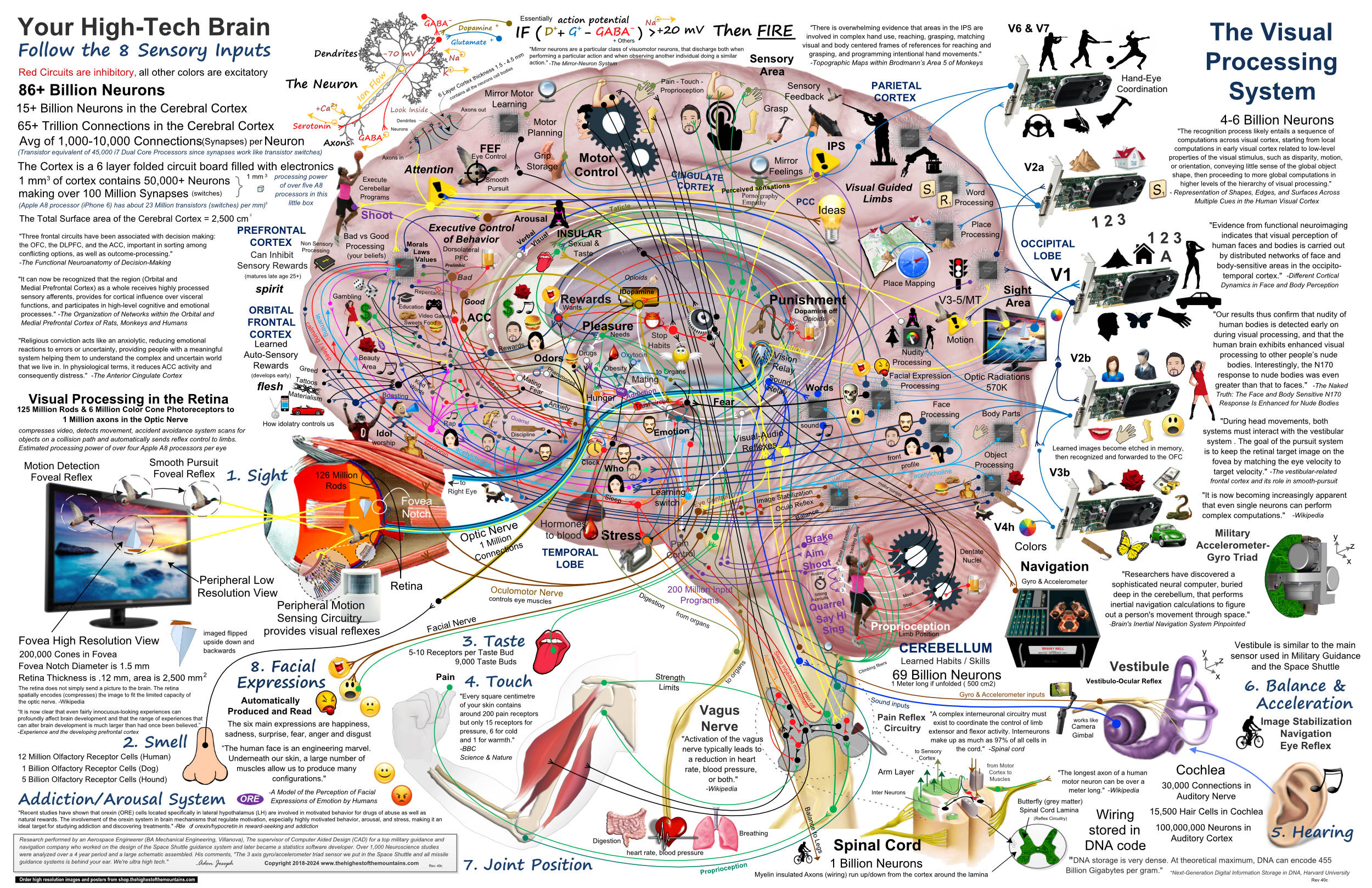 Brain Maps