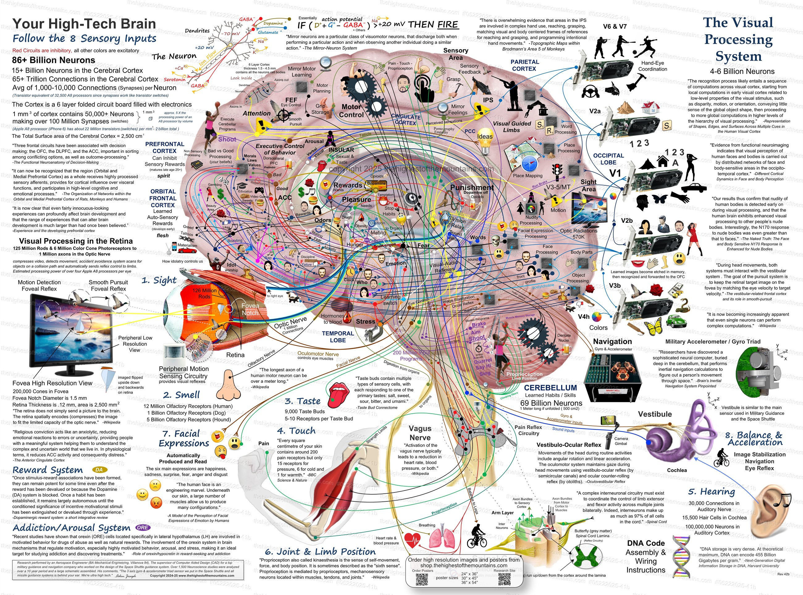 Knowledge