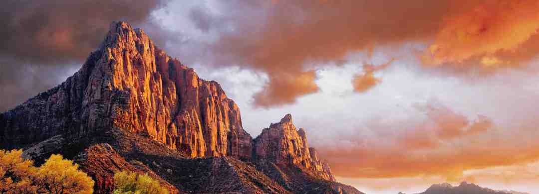 The Brain, Bible Prophecy and the End of the Age